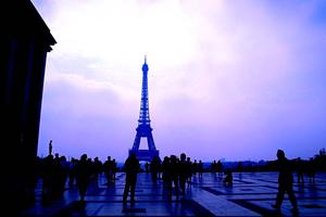 2025年最新版：石垣島の離島ターミナル近くで便利なレンタカー選びとお得な利用ガイド