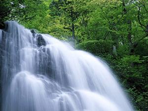 奈良県天理駅前に位置するビジネスホテルの魅力と概要【東横INN天理駅前】
