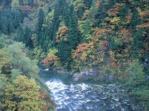浅草橋駅から徒歩3分！快適かつお得な滞在を実現する東横INNアキバ浅草橋駅東口の魅力