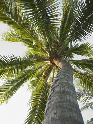 愛知県豊田市の便利なビジネスホテル｜東横INN豊田市駅前の魅力と詳細情報