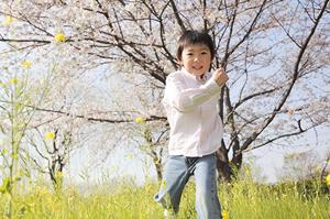 特別な日を彩る！ホテルでの理想的なパーティー開催ガイド