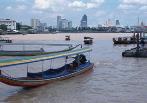 癒したっぷりパラダイス動物カフェ