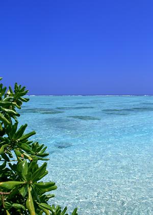 成田空港近くの快適な滞在を実現！東横INN成田空港本館の魅力とサービスガイド