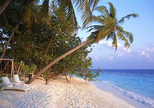 絶景と癒しを満喫できる！伊豆高原 赤沢日帰り温泉館の魅力と特色