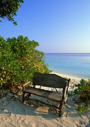 大阪空港に便利！東横INN大阪伊丹空港の魅力と最新情報