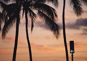 北海道札幌市における快適なビジネスホテル：東横INN札幌駅西口北大前の魅力と詳細情報