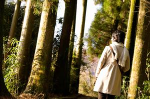 川口駅前の快適ビジネスホテル｜東横INN川口駅前の魅力と情報徹底解説